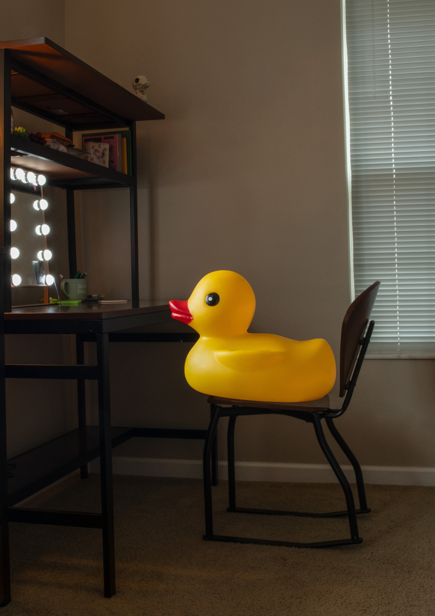 Tall duck illustration