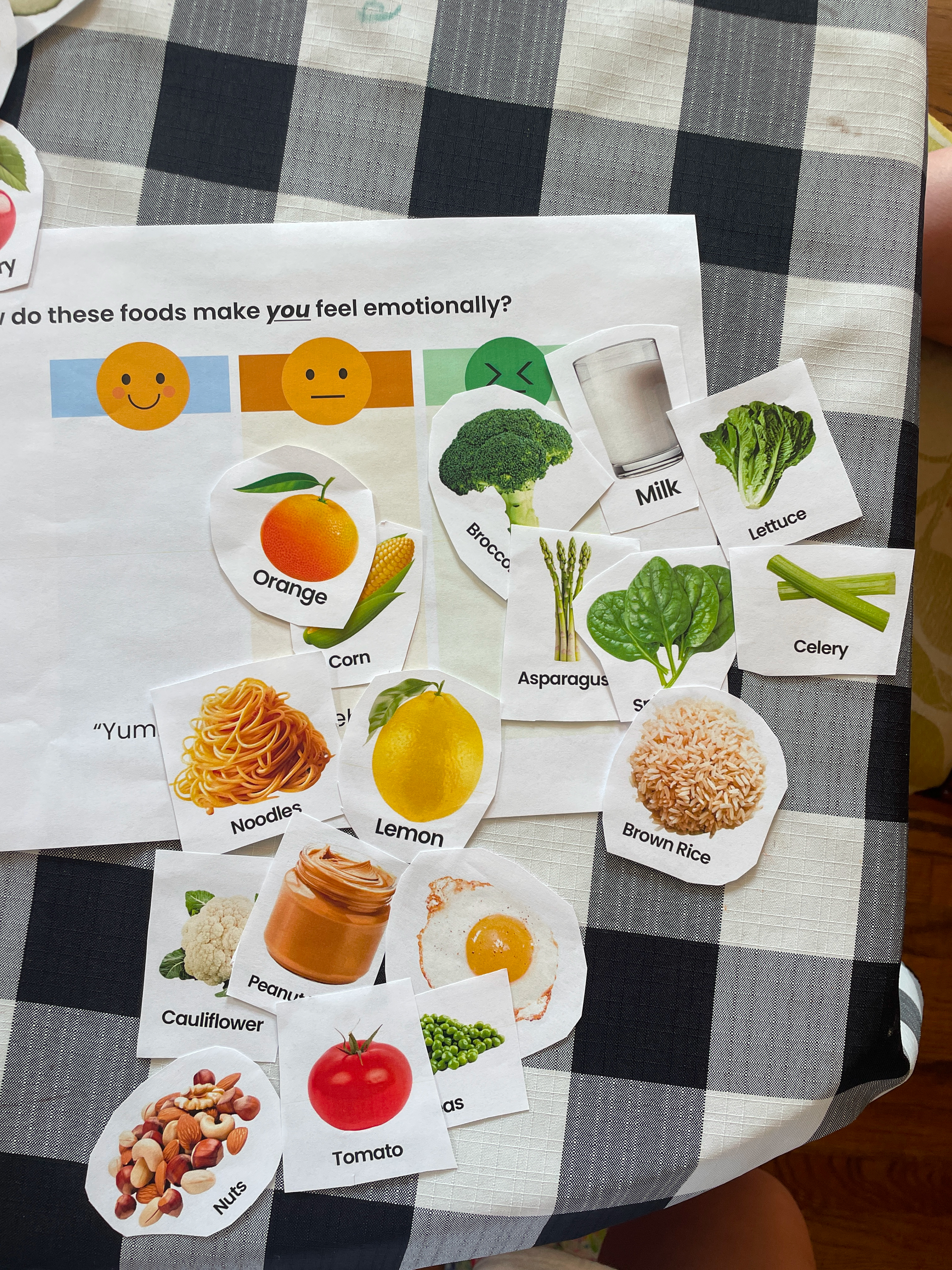 Generative Research Tool